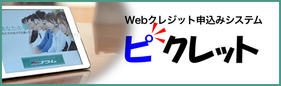 Webクレジット申し込みシステム ピクレット